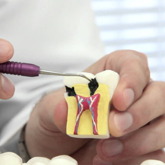 Endodontia
